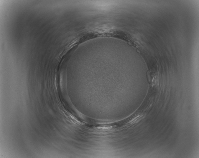 X0000067901156200604131347
