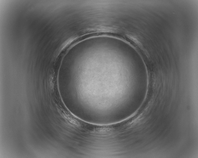 X0000067901163200604131347