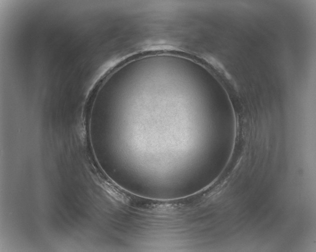 X0000067901167200604131347