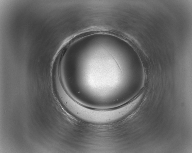 X0000067901168200604131347