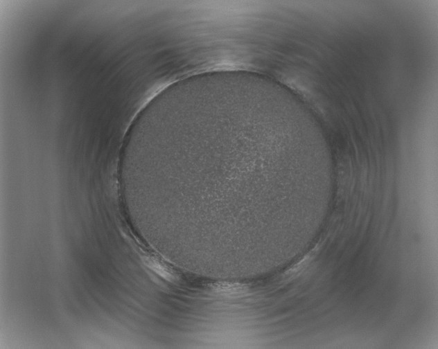 X0000067901170200604131347