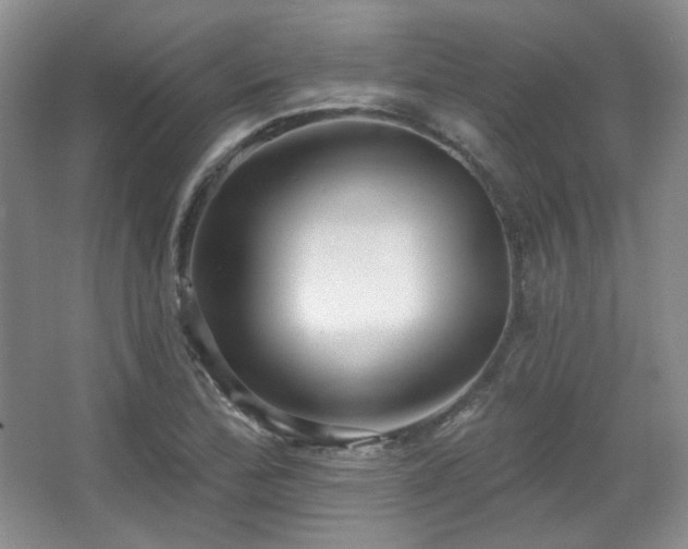 X0000067901172200604131346