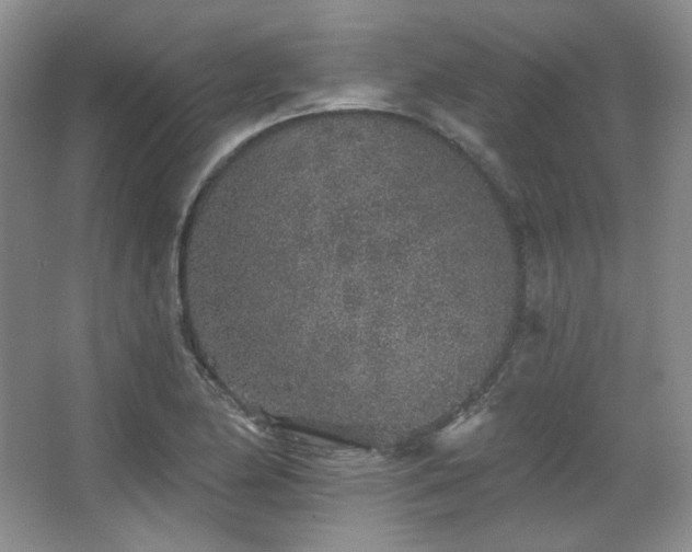 X0000067901174200604131346