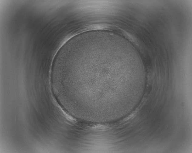 X0000067901178200604131346