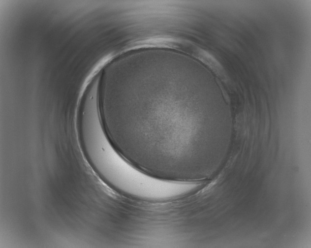 X0000067901180200604131346