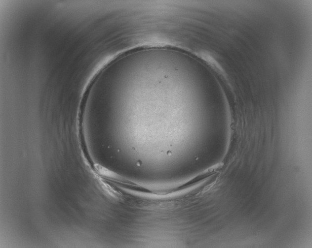 X0000067901183200604131346