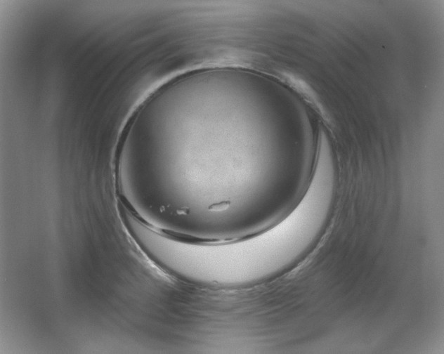 X0000067901184200604131346