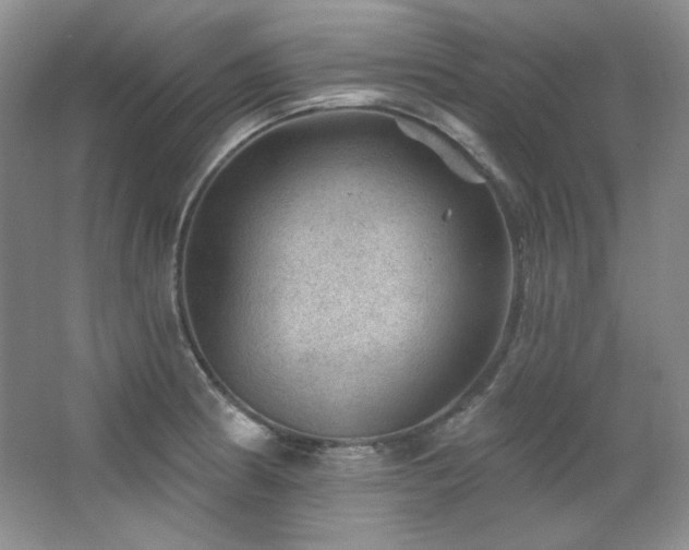X0000067901186200604131346