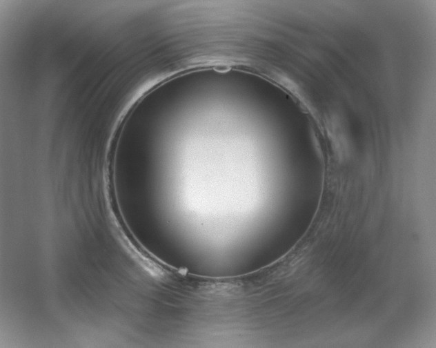 X0000067901187200604131346