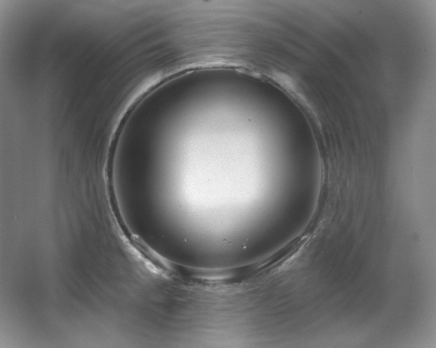 X0000067901189200604131346