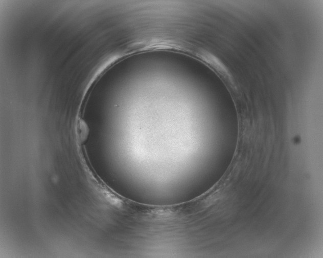 X0000067901190200604131346