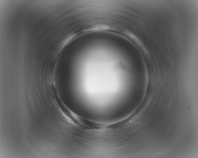 X0000067901193200604131346