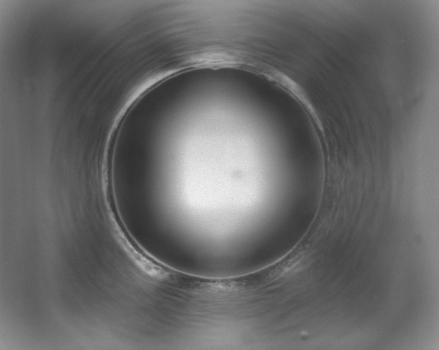 X0000067901195200604131346