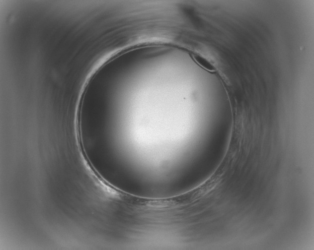 X0000067901199200604131346