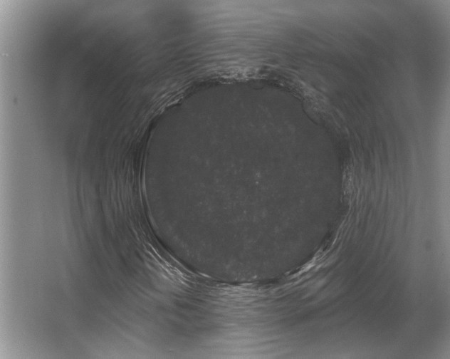 X0000067901202200604131345