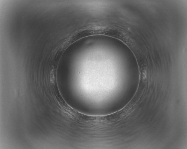 X0000067901204200604131345