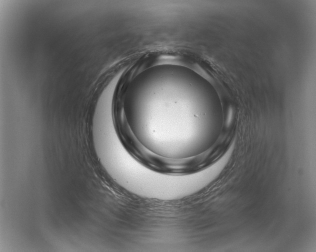X0000067901206200604131345