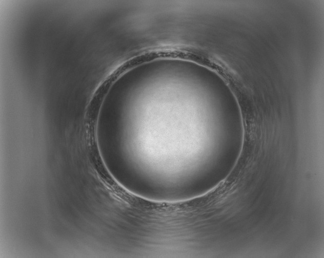 X0000067901208200604131345