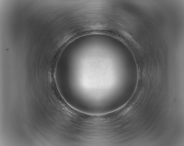 X0000067901209200604131345