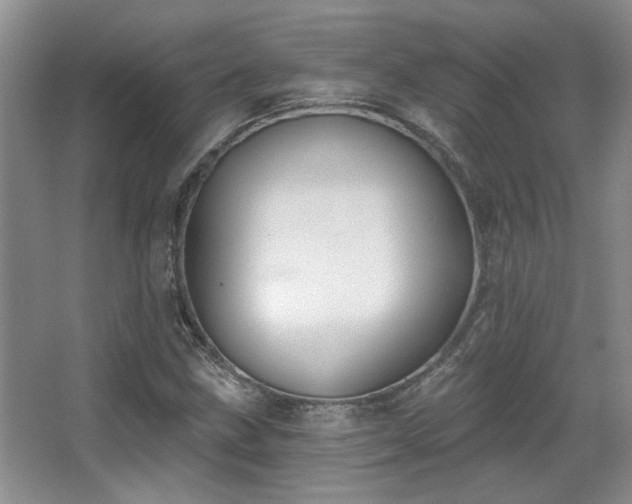 X0000067901211200604131345
