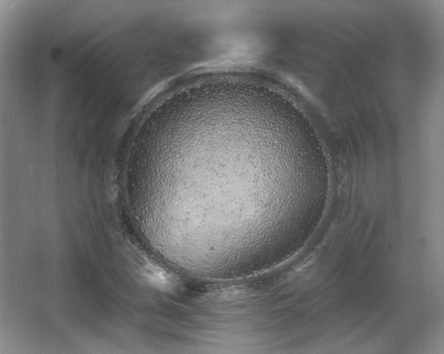 X0000067901213200604131345