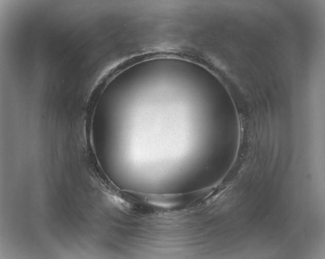 X0000067901214200604131345