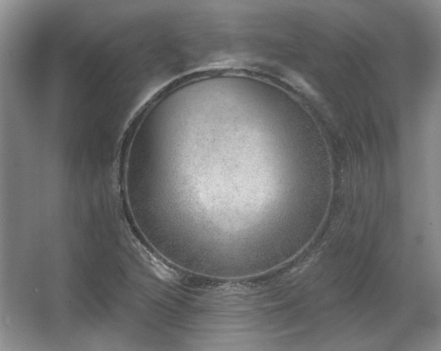 X0000067901216200604131345