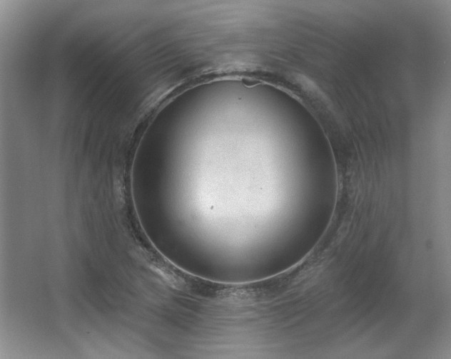 X0000067901217200604131345
