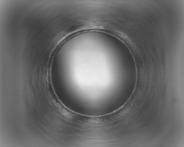 X0000067901220200604131346