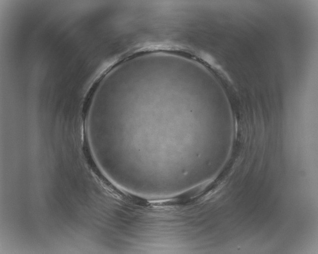 X0000067901221200604131346