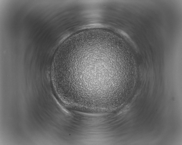 X0000067901225200604131346
