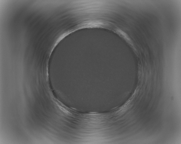 X0000067901226200604131346