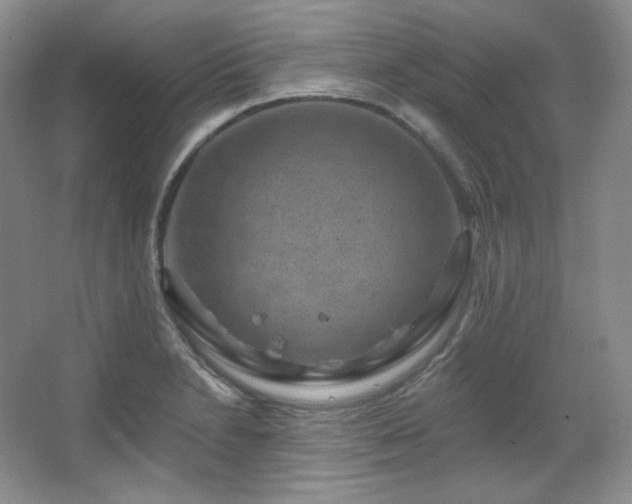 X0000067901230200604131346