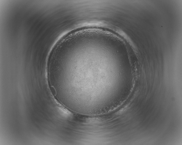 X0000067901232200604131346