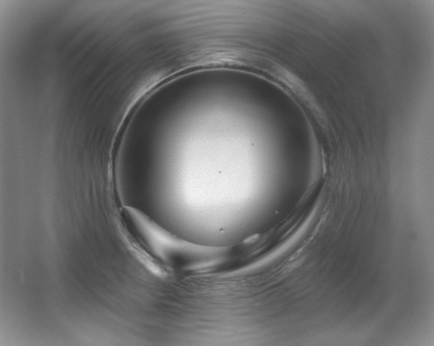 X0000067901234200604131346