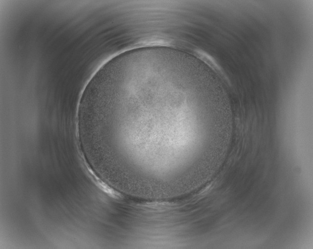 X0000067901236200604131346