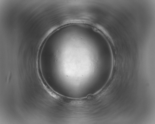 X0000067901237200604131346