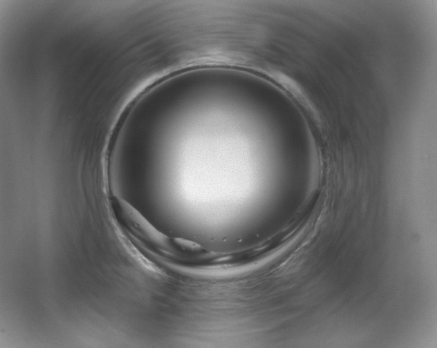 X0000067901238200604131346