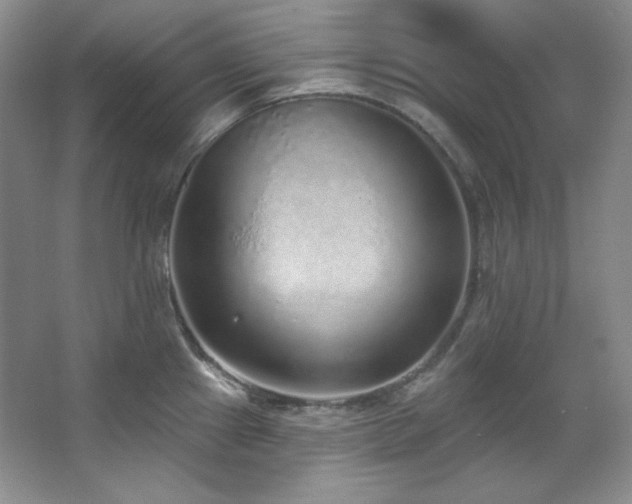 X0000067901241200604131346