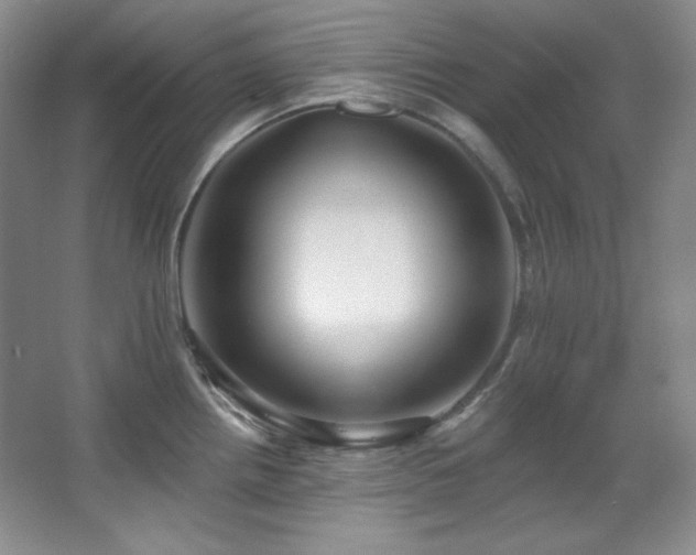 X0000067901242200604131346