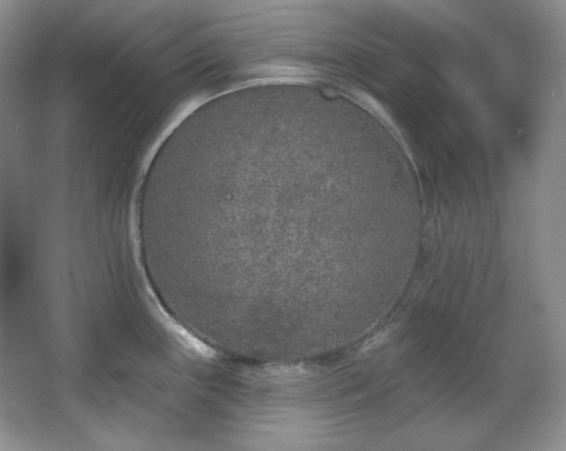 X0000067901243200604131346