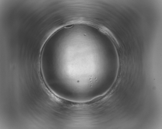 X0000067901244200604131346