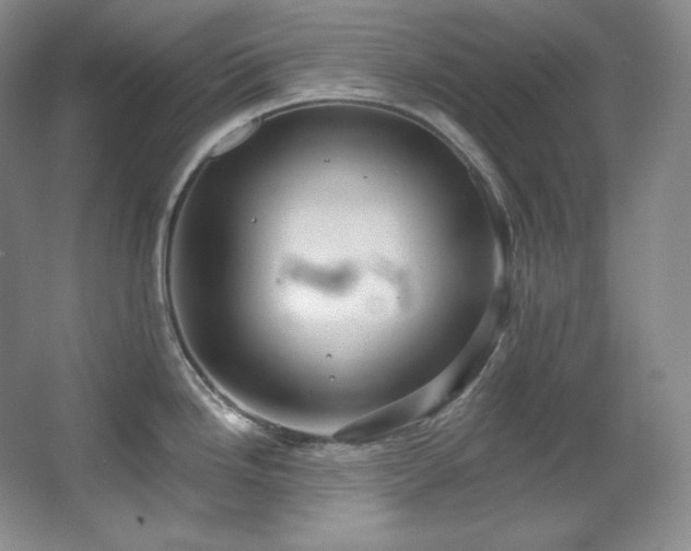 X0000067901246200604131346