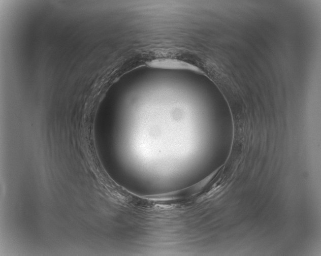 X0000067901249200604131345
