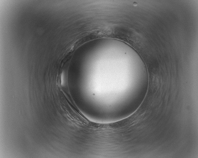 X0000067901250200604131345