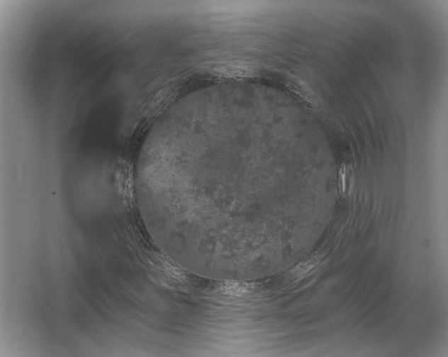 X0000067901251200604131345