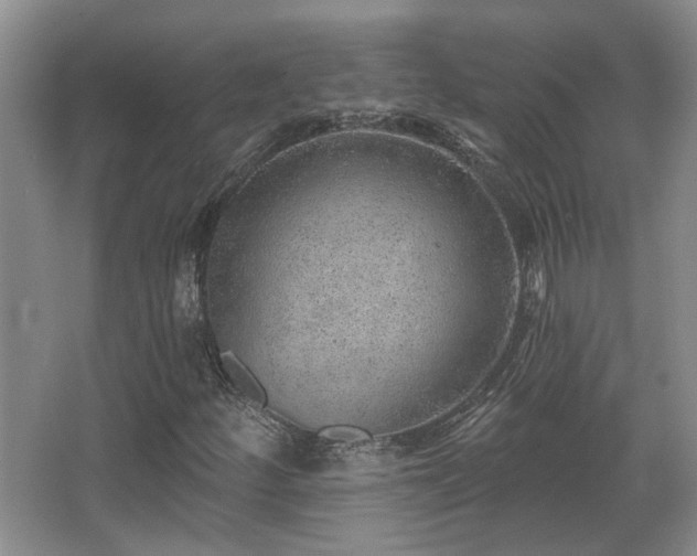 X0000067901252200604131345