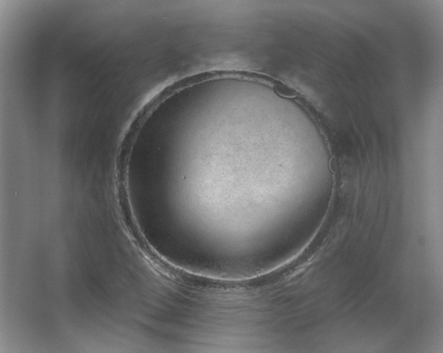 X0000067901264200604131345