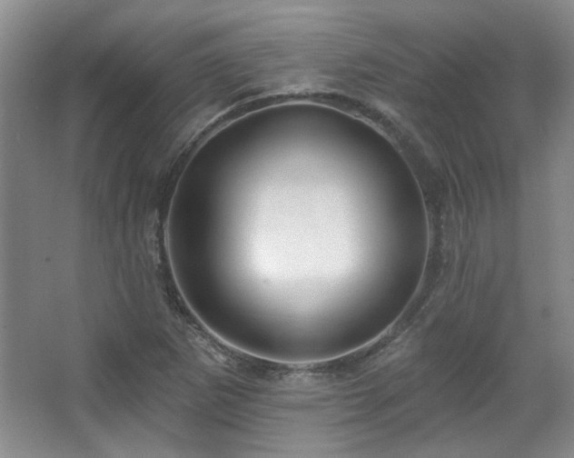 X0000067901265200604131345