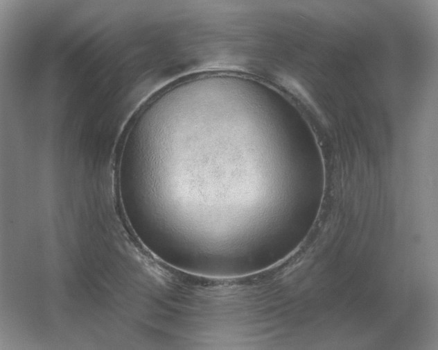 X0000067901268200604131345